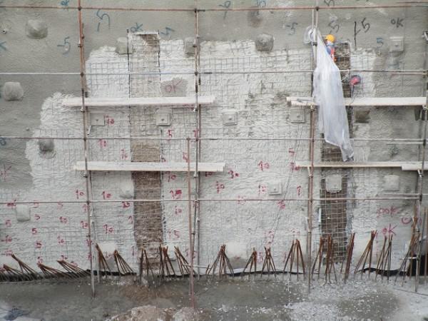 توزیع مستقیم عایق نانو دیوار در گلستان